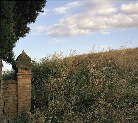 Tuscany: Cloud, Tree and Hillside, 2005 Tuscany: Cloud, Tree and Hillside, 2005
