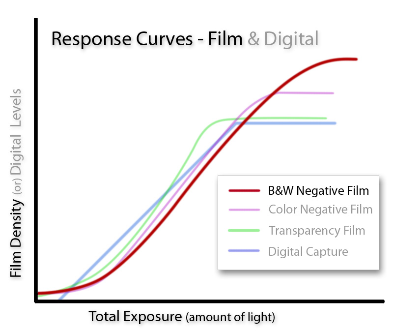 Black and White Film Curve Black and White Film Curve