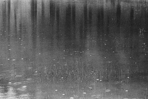 Paul Caponigro - Pond in Rain