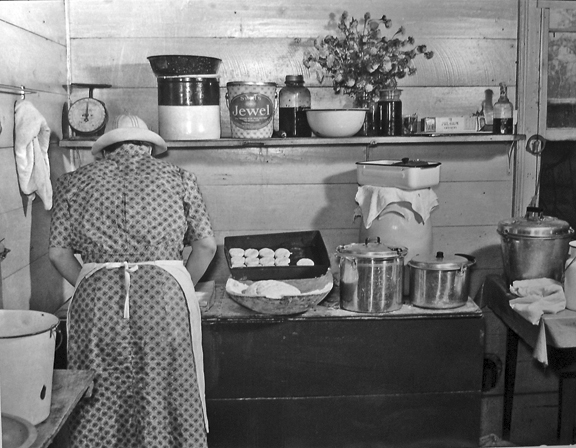 biscuitlady