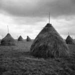 Photographs by Kathleen Laria McLaughlin